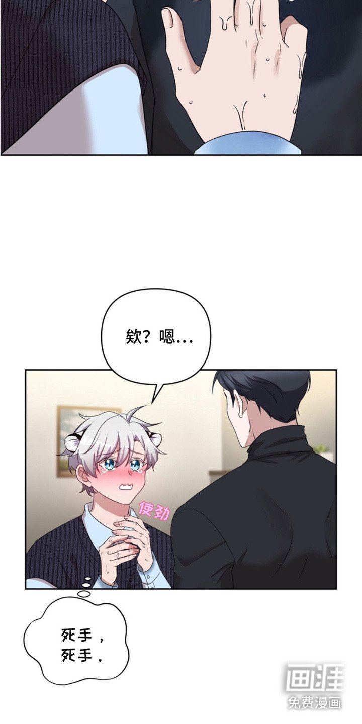 第3章：盯着看
