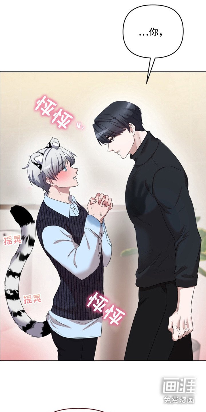 第3章：盯着看