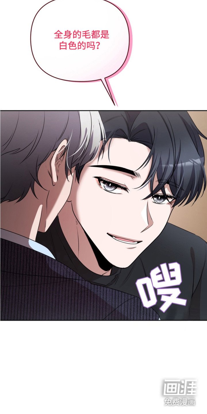 第3章：盯着看
