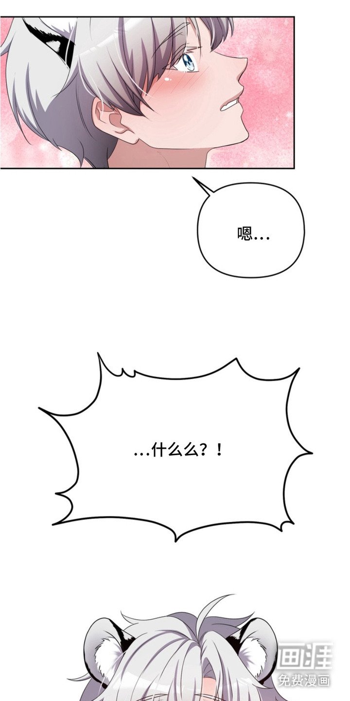 第3章：盯着看