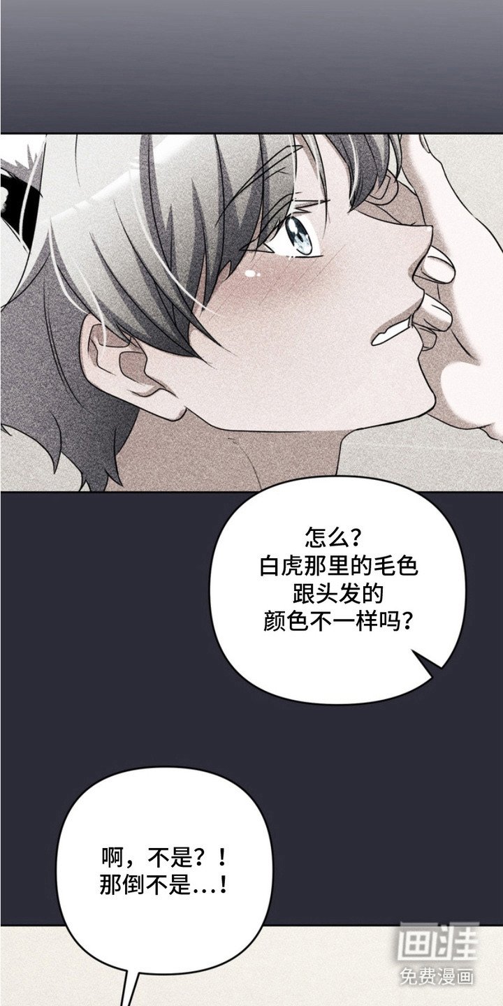 第4章：跟回家