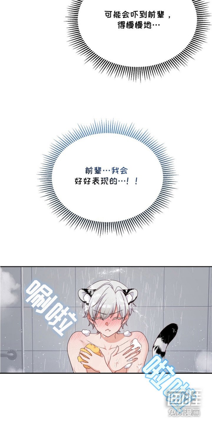 第4章：跟回家