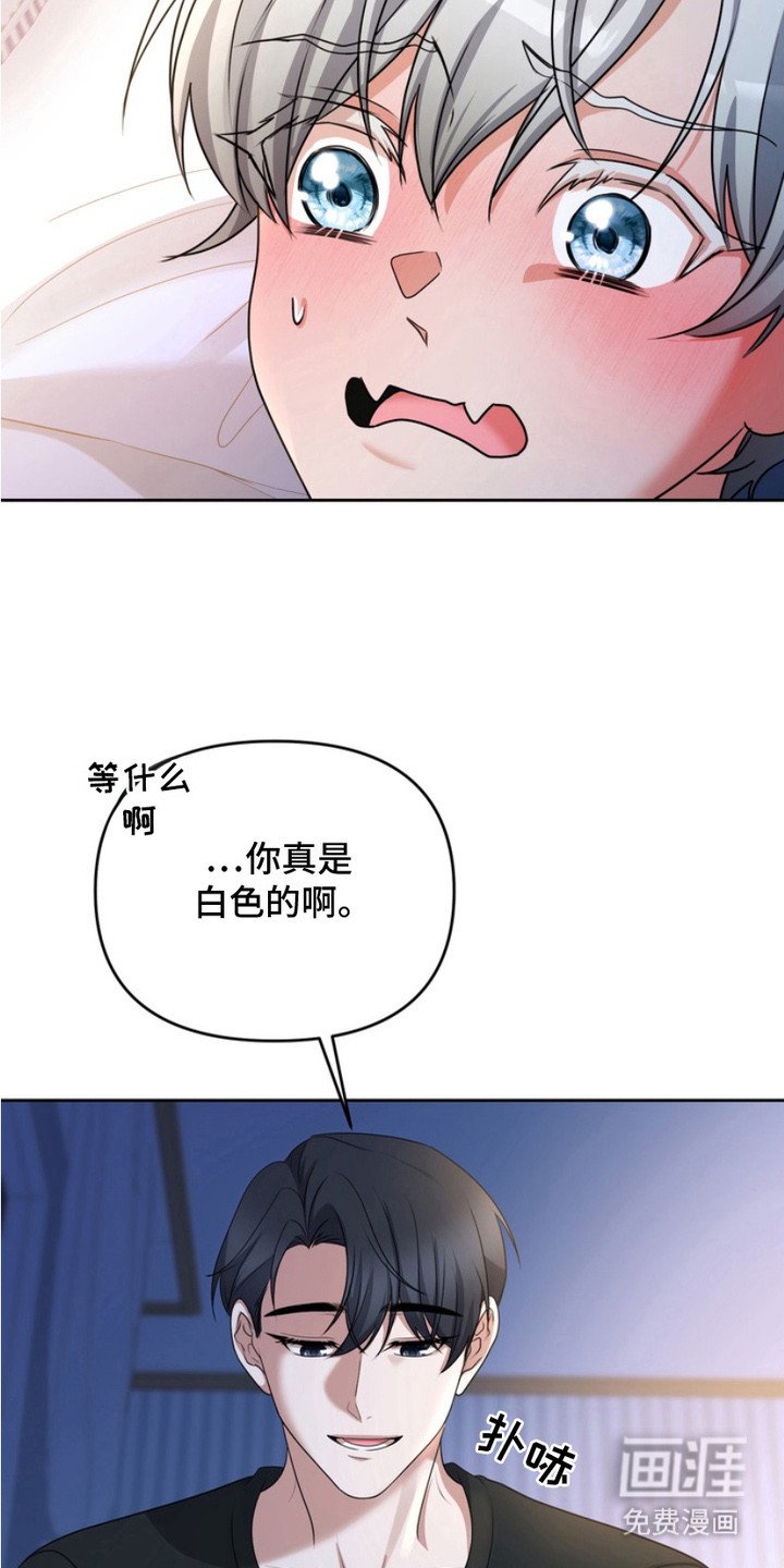 第5章：拜托你了