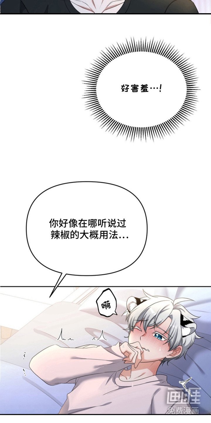 第5章：拜托你了