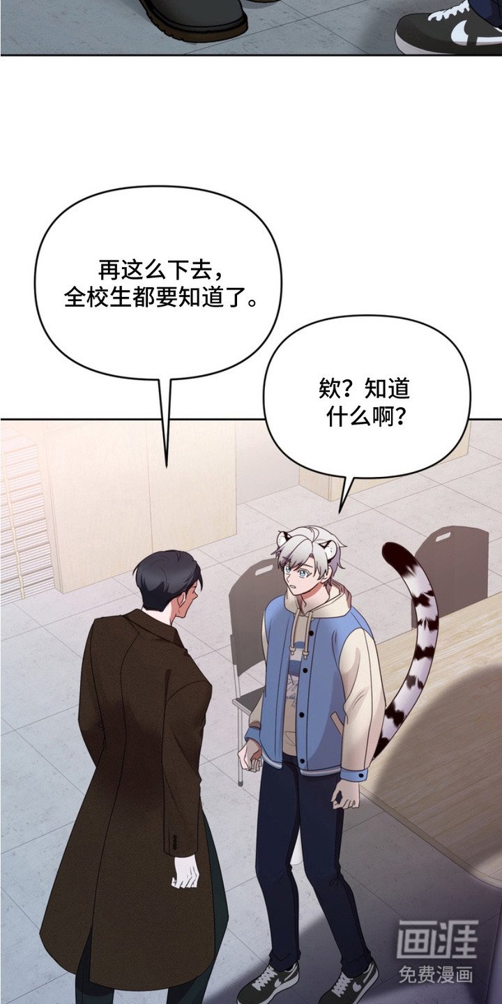 第7章：任何事