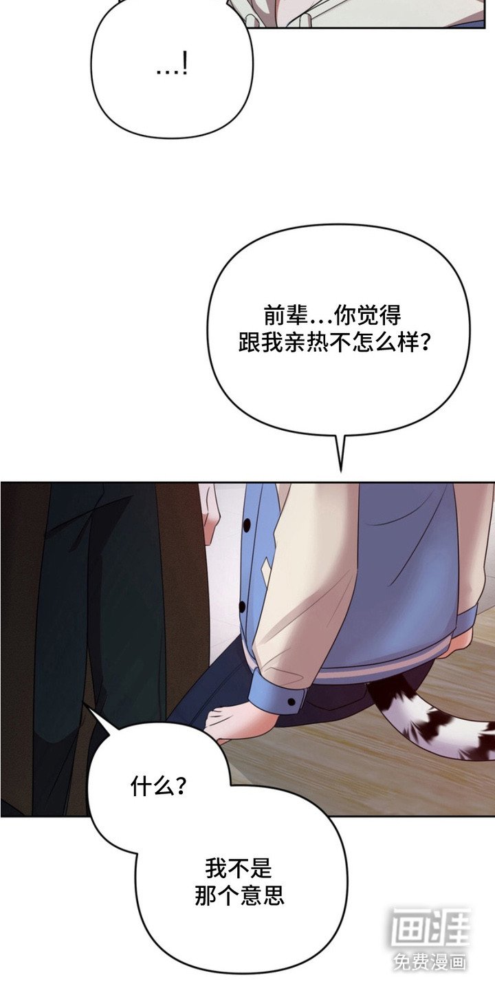 第7章：任何事