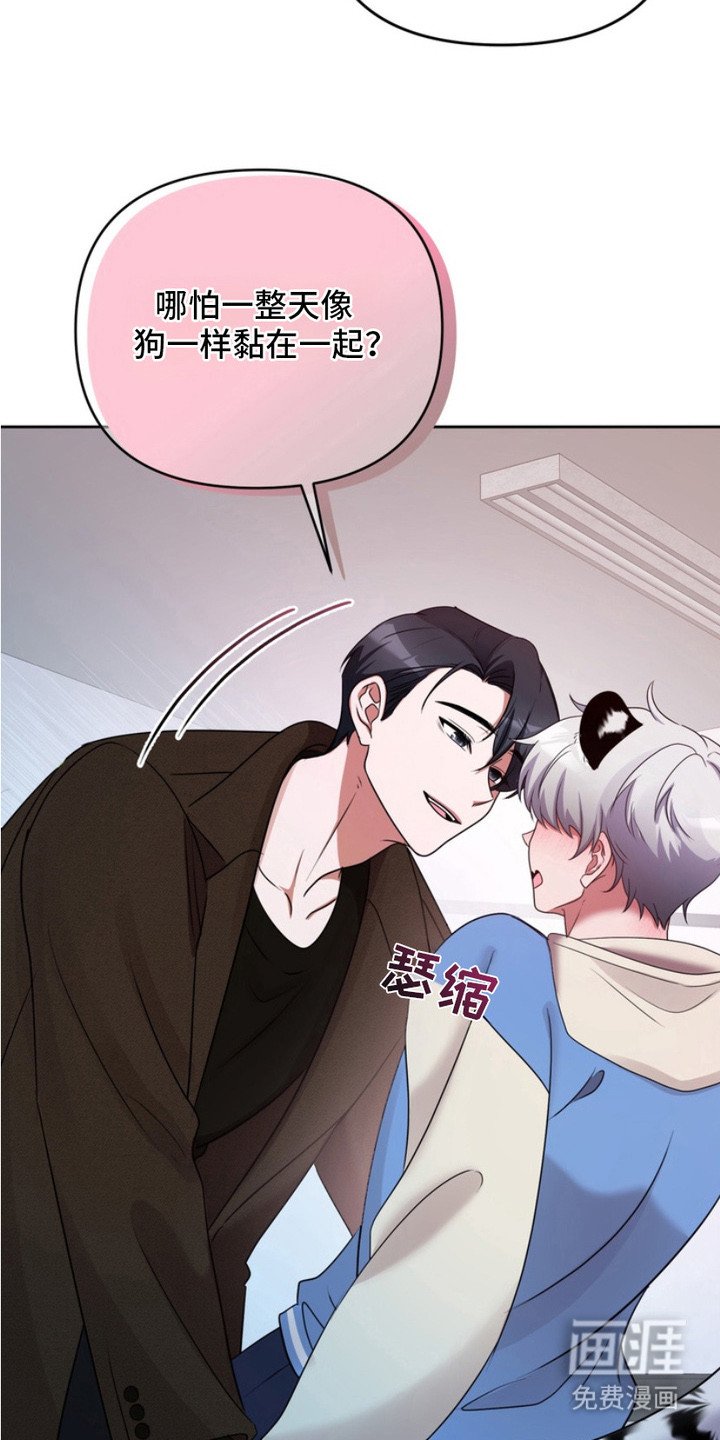 第7章：任何事