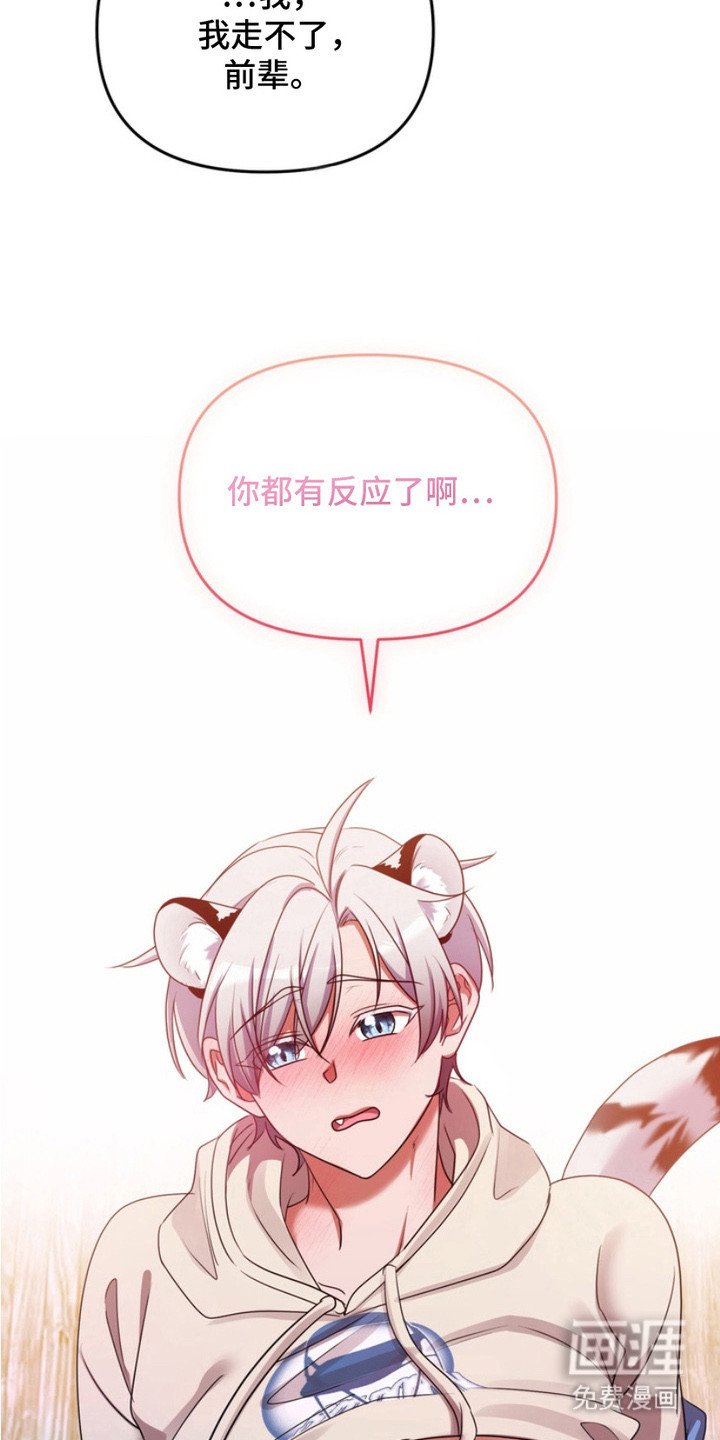 第8章：不会后悔