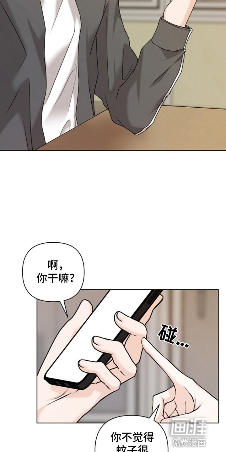 第12章：再次见面