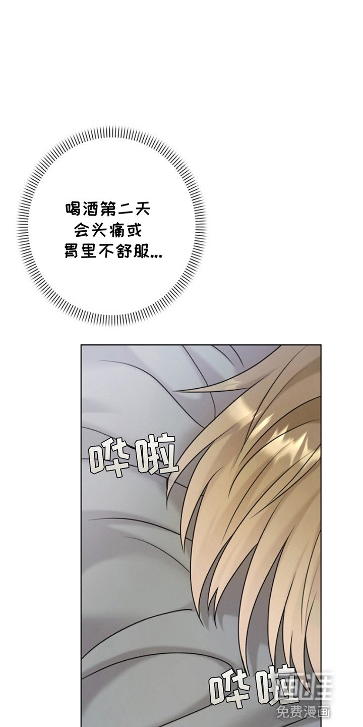 第20章：被他带回家