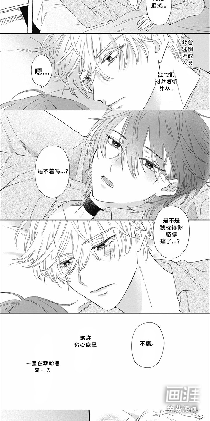 第16章：期盼着一天