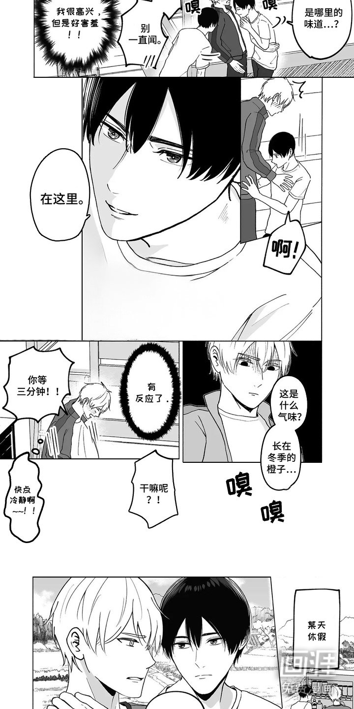 第17章：【番外】美好与本命