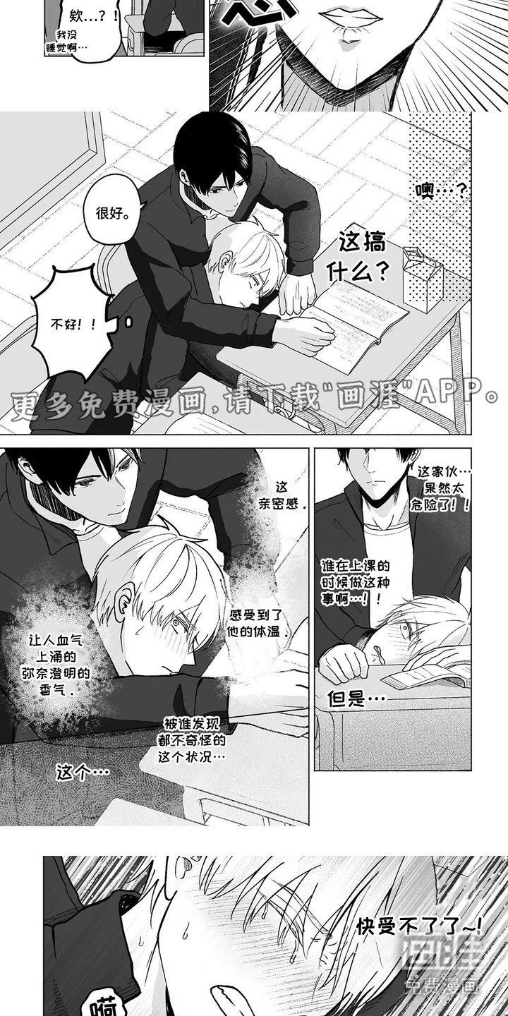 第6章：美好的一幕