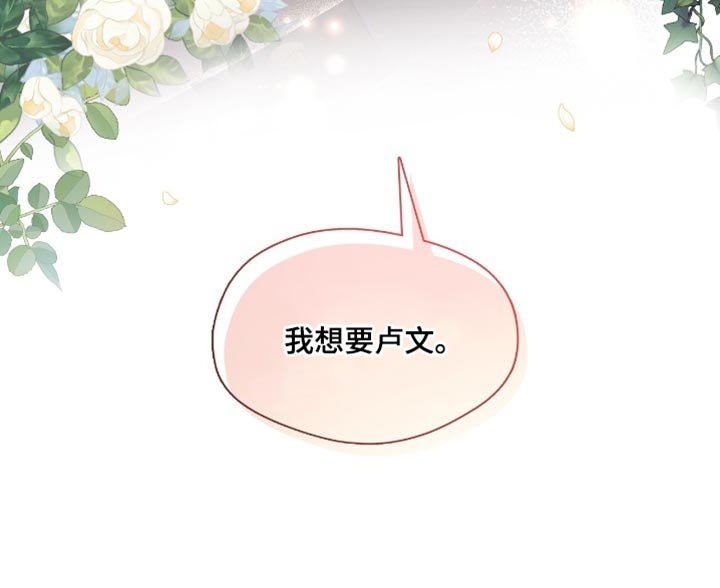 第29章：我想要卢文