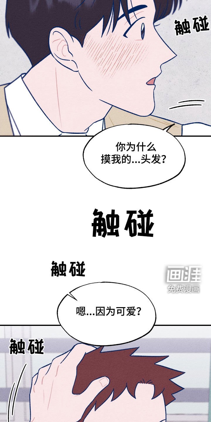 第20章：因为可爱