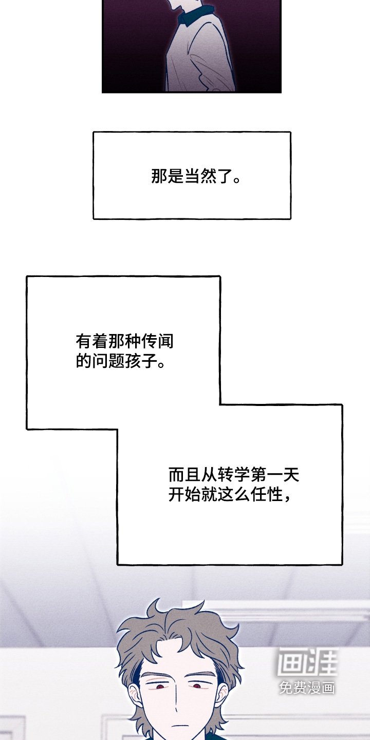 第26章：随便你