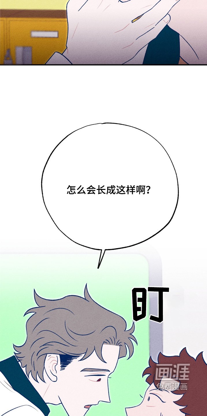 第26章：随便你