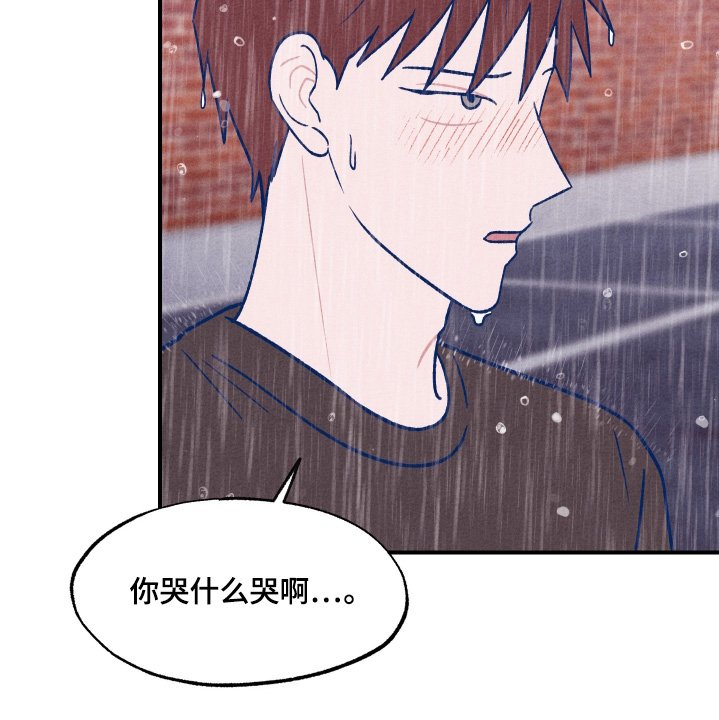 第45章：别哭了