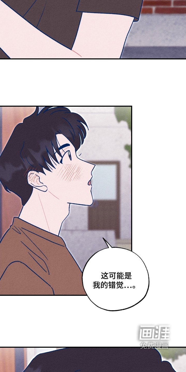 第47章：像做梦一样