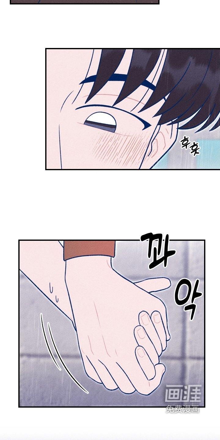 第49章：送你回去