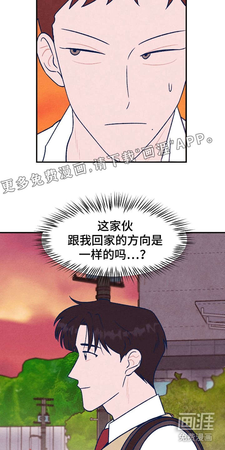 第6章：垃圾箱