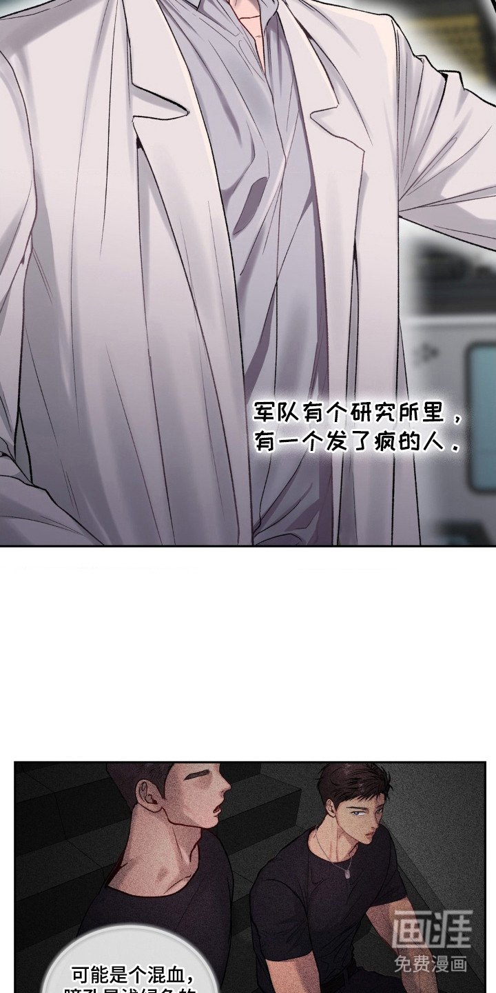 第3章：传闻