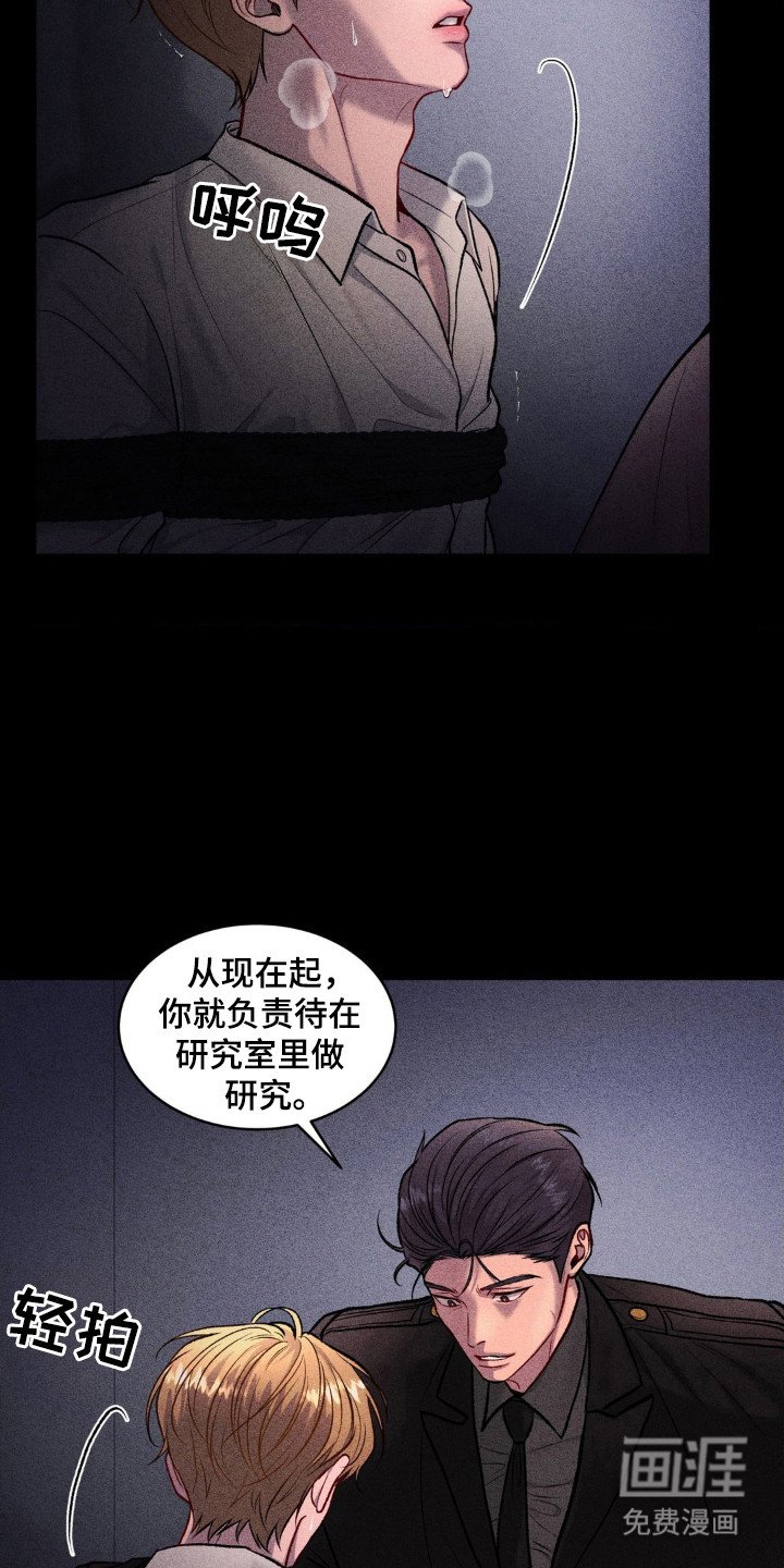 第6章：命令