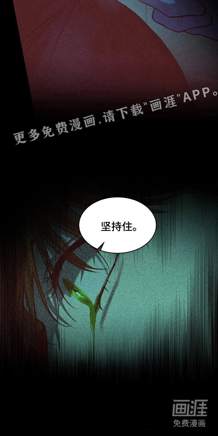 第6章：命令