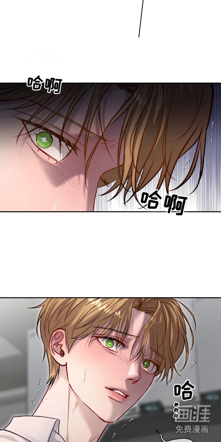 第7章：负罪感