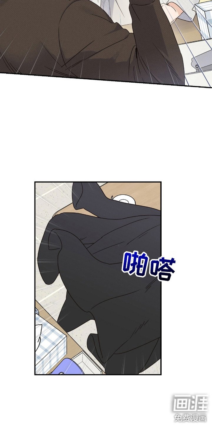 第12章：申请表