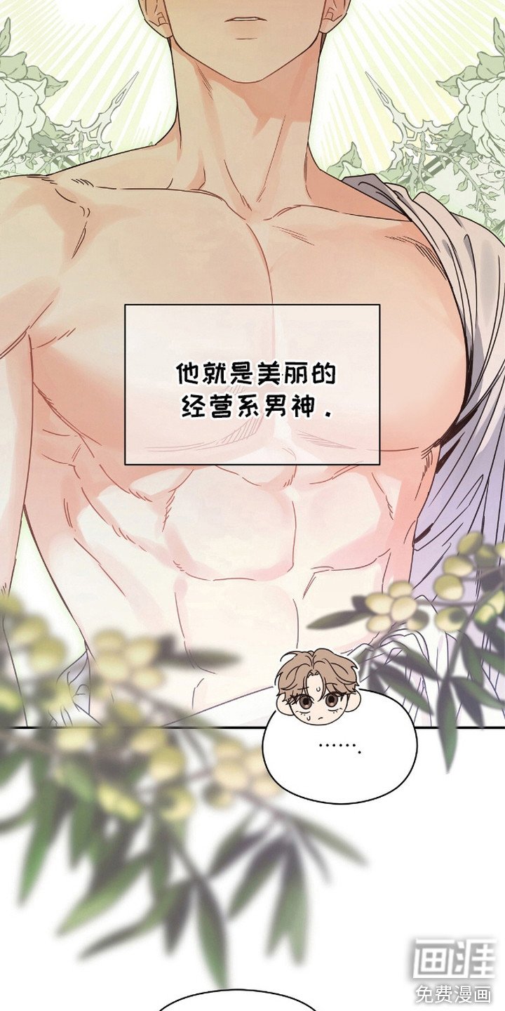 第13章：信息素