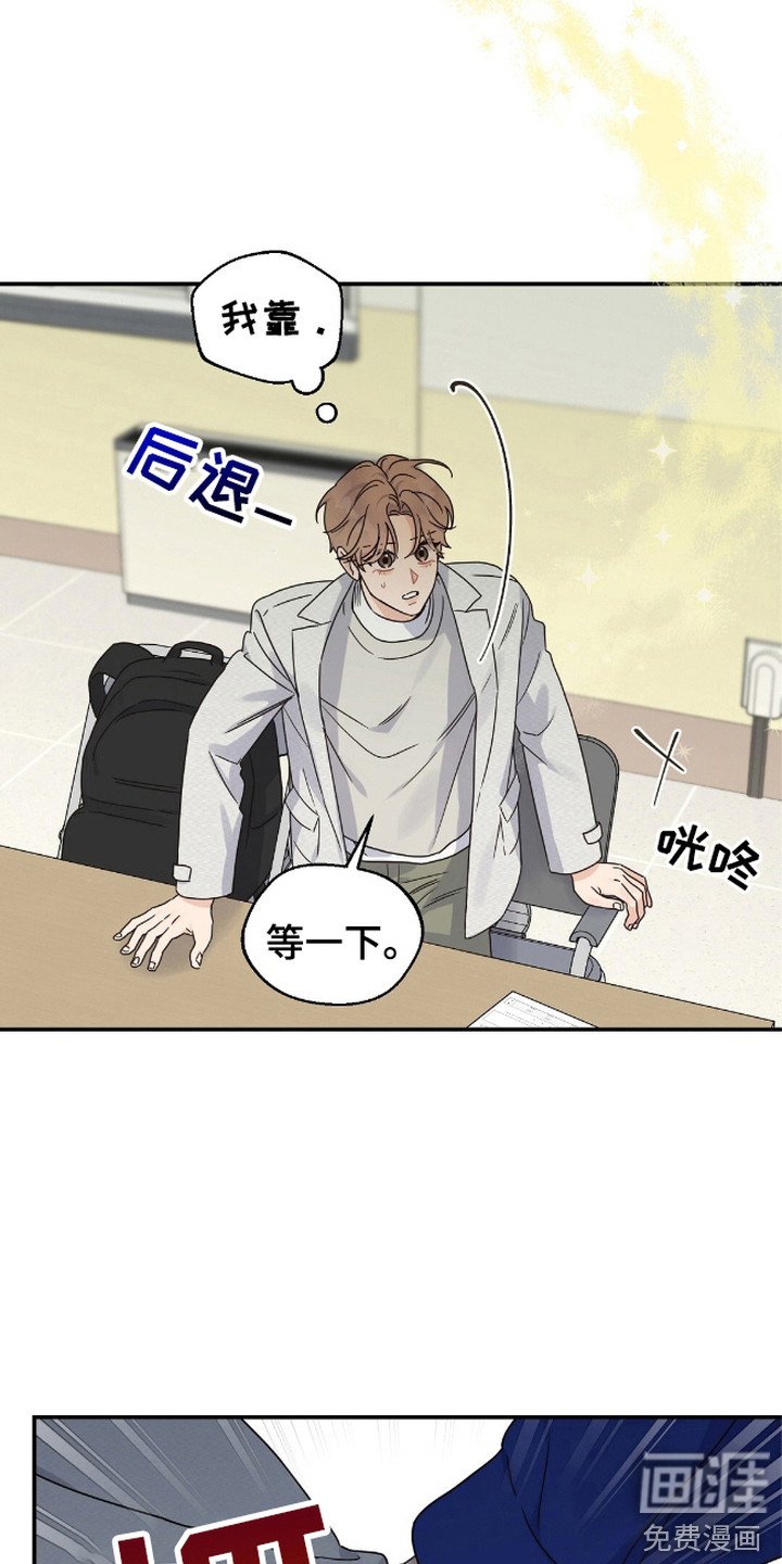 第13章：信息素
