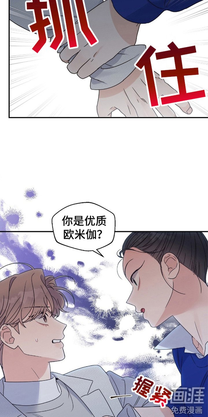 第13章：信息素