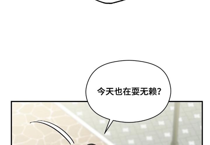 第17章：无赖