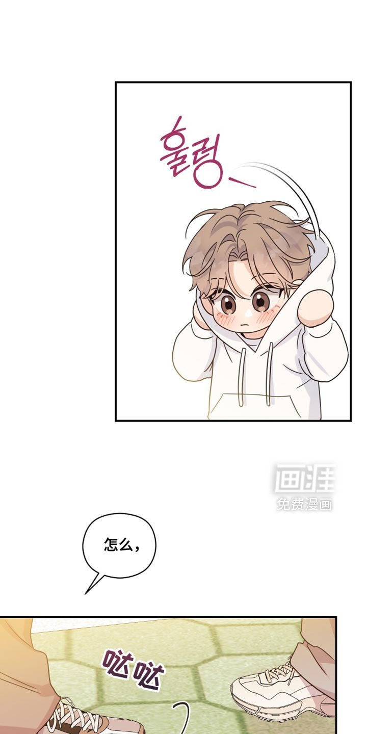 第19章：愿望