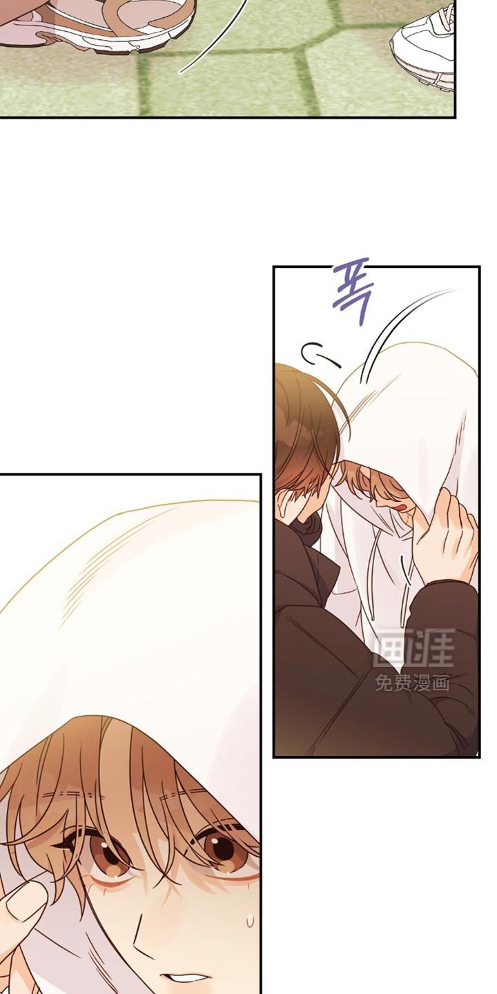第19章：愿望