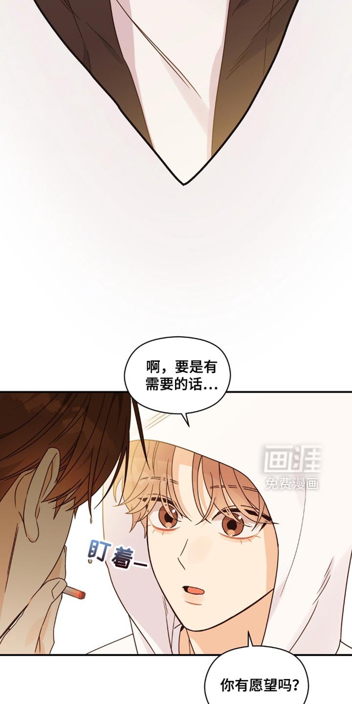 第19章：愿望