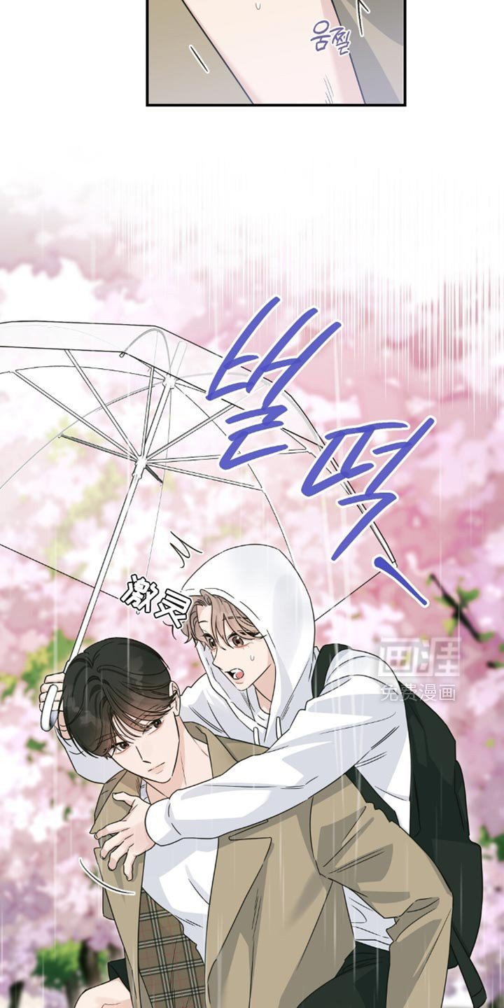 第32章：我送你回家