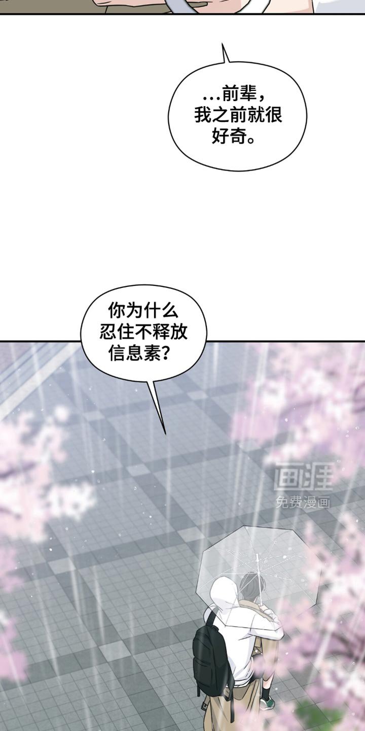 第33章：樱花雨