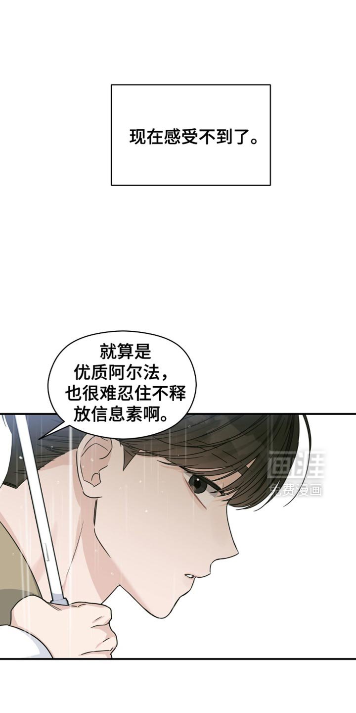 第33章：樱花雨