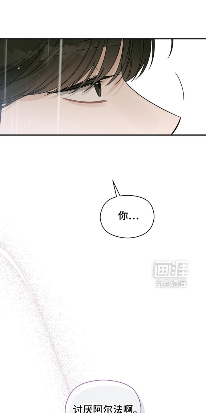 第33章：樱花雨