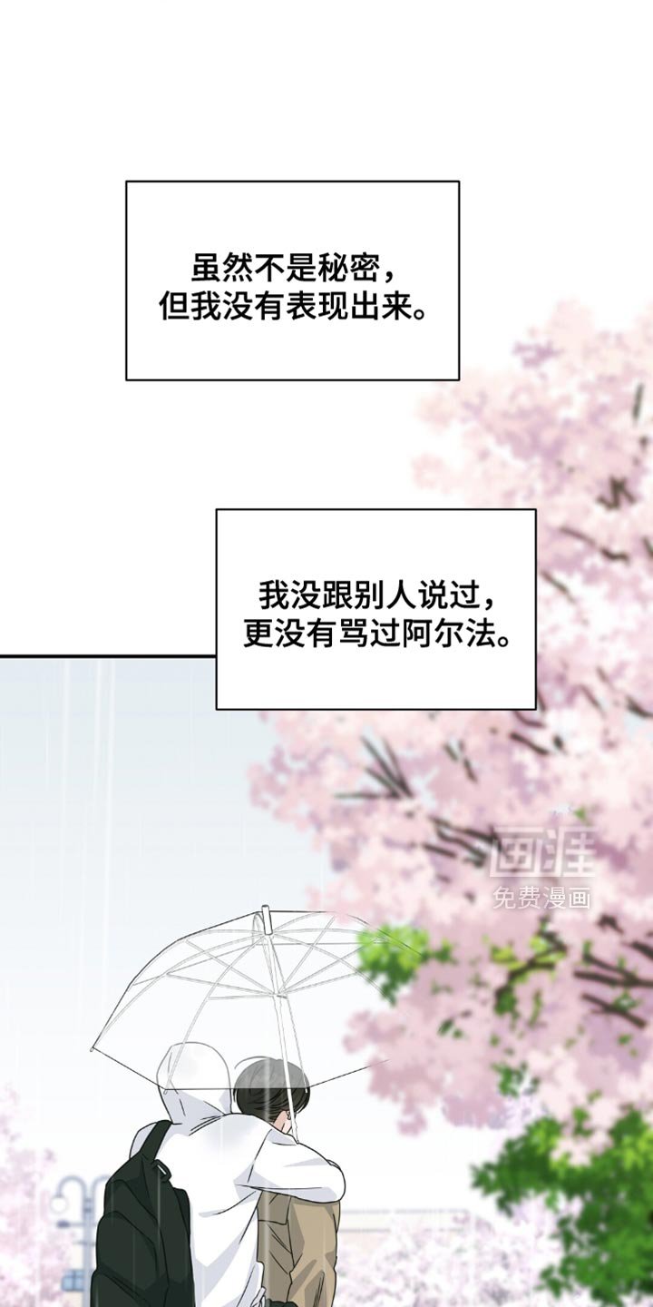 第33章：樱花雨
