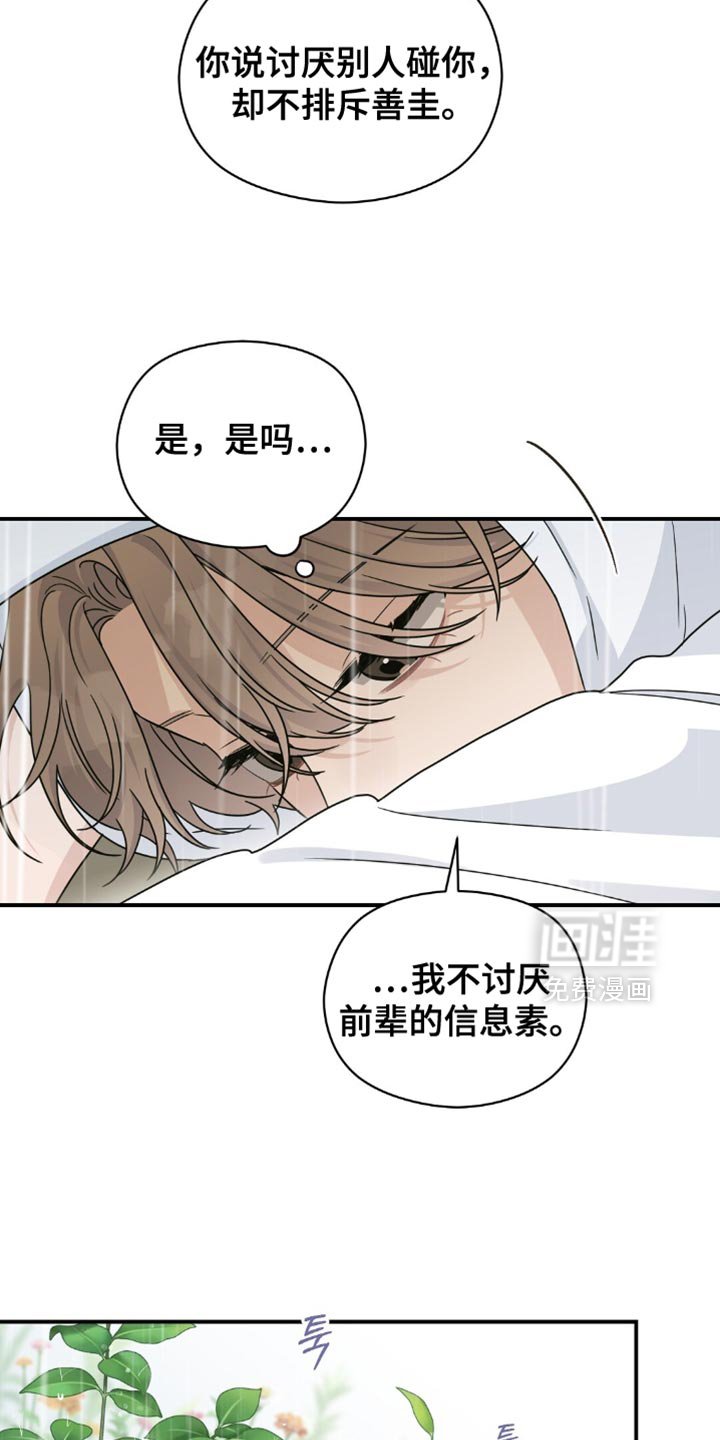 第33章：樱花雨