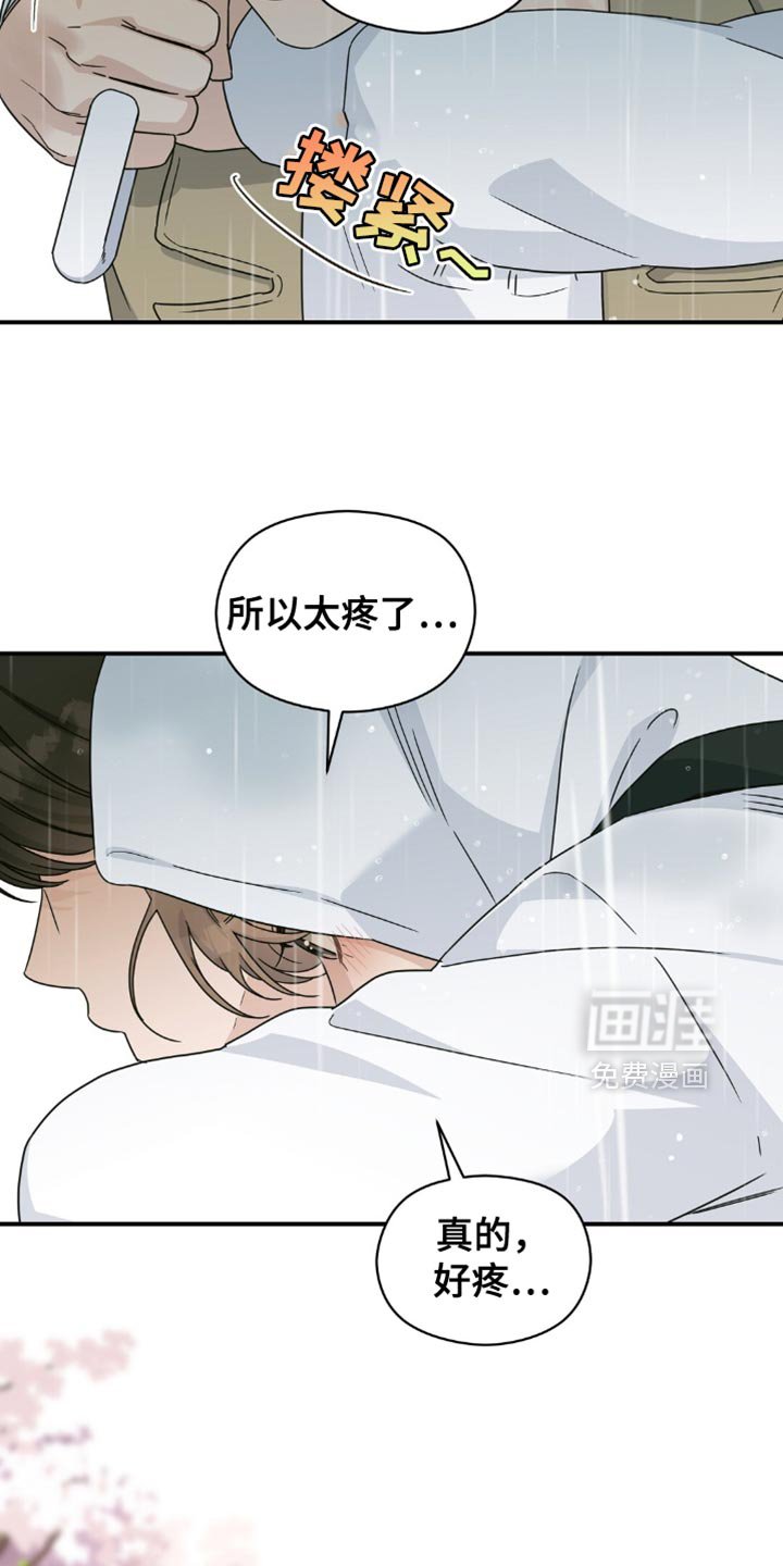 第33章：樱花雨
