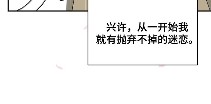 第33章：樱花雨