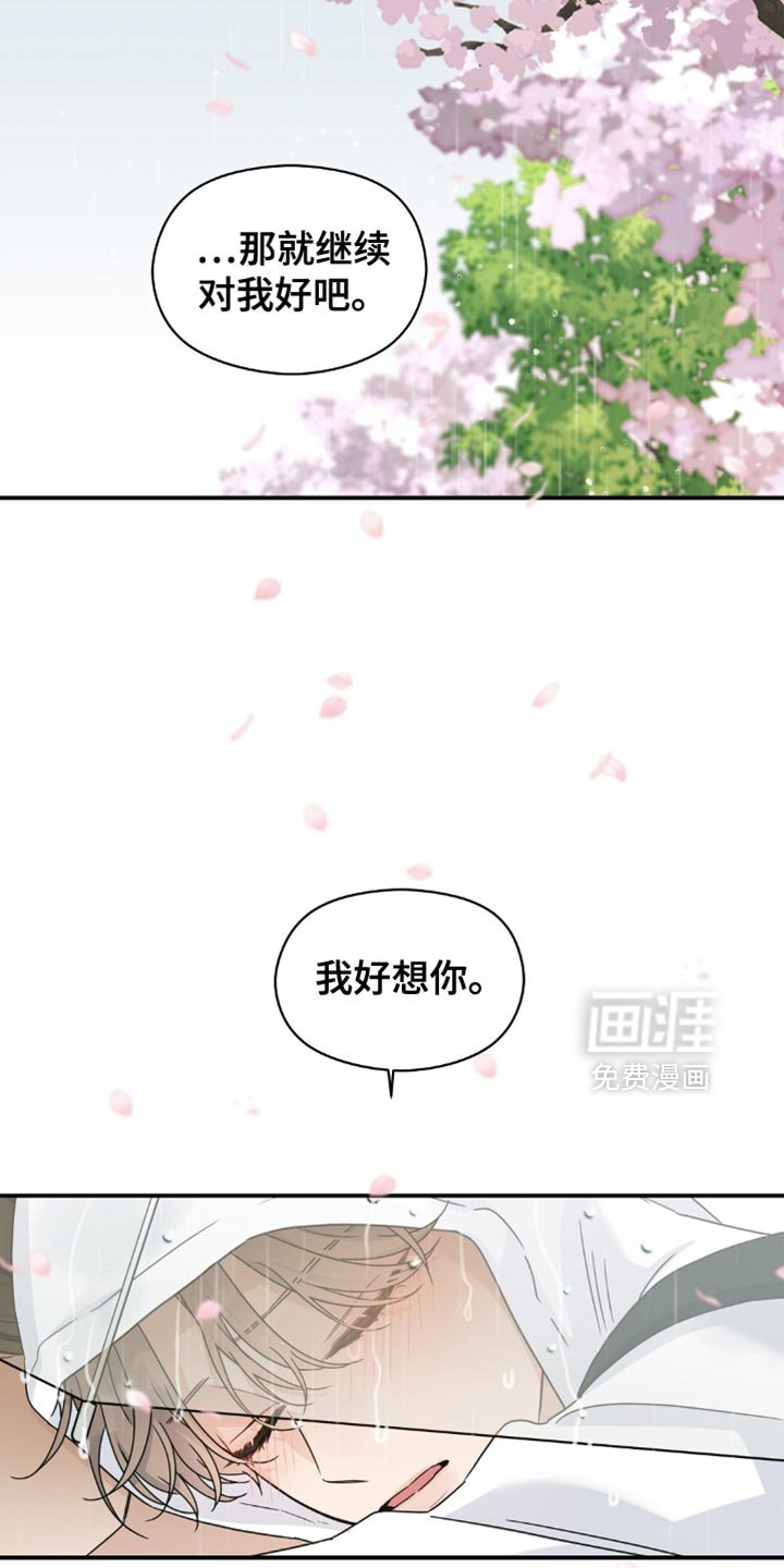 第33章：樱花雨