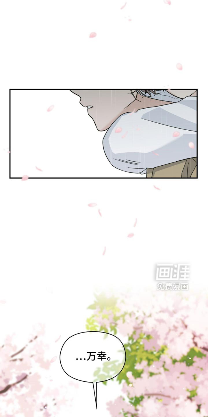 第33章：樱花雨