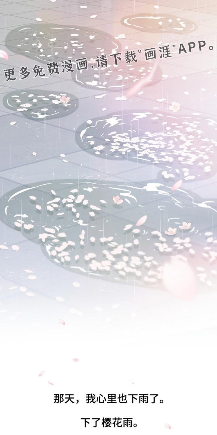 第33章：樱花雨