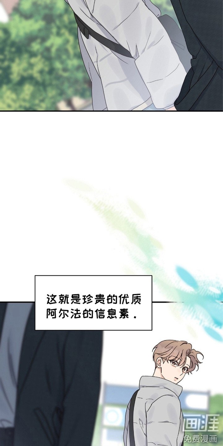 第5章：重逢