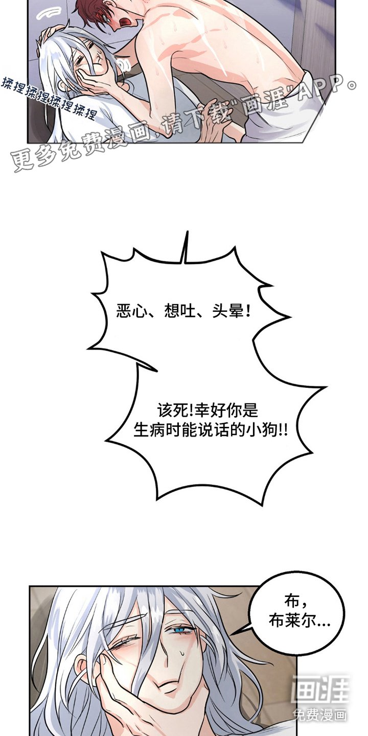 第11章：因为喜欢